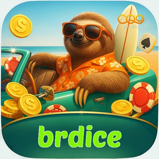 brdice logo