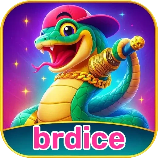 brdice Plataforma