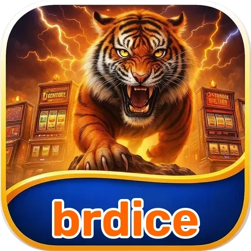 brdice VIP